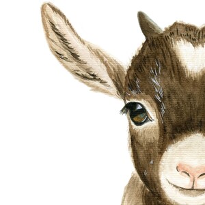May include: A watercolor painting of a brown and white goat's face. The goat is looking directly at the viewer with one ear visible. The goat has a brown nose and a white patch on its forehead.