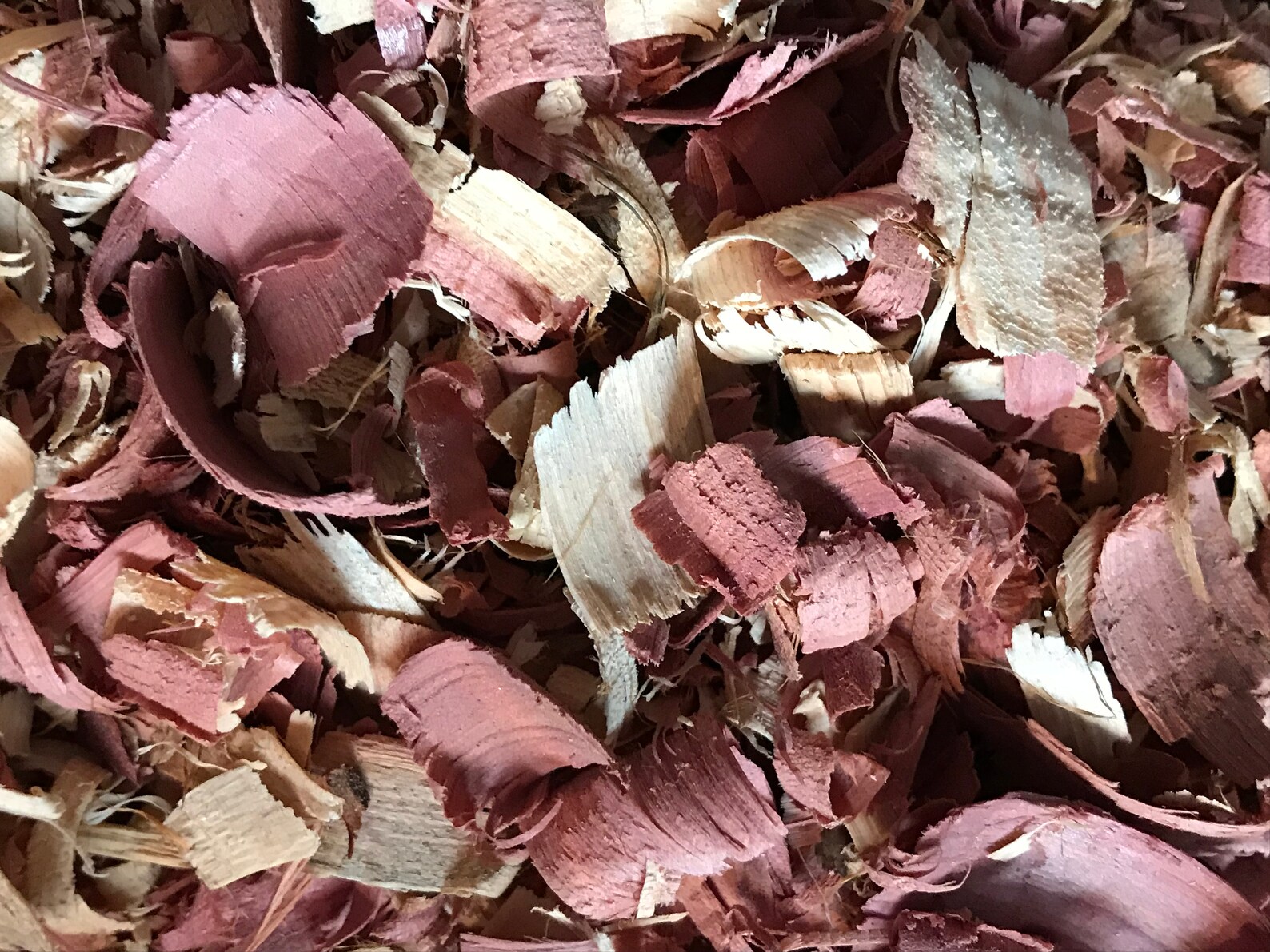 Cedar Shavings Etsy
