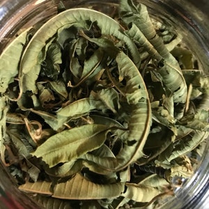 Lemon Verbena