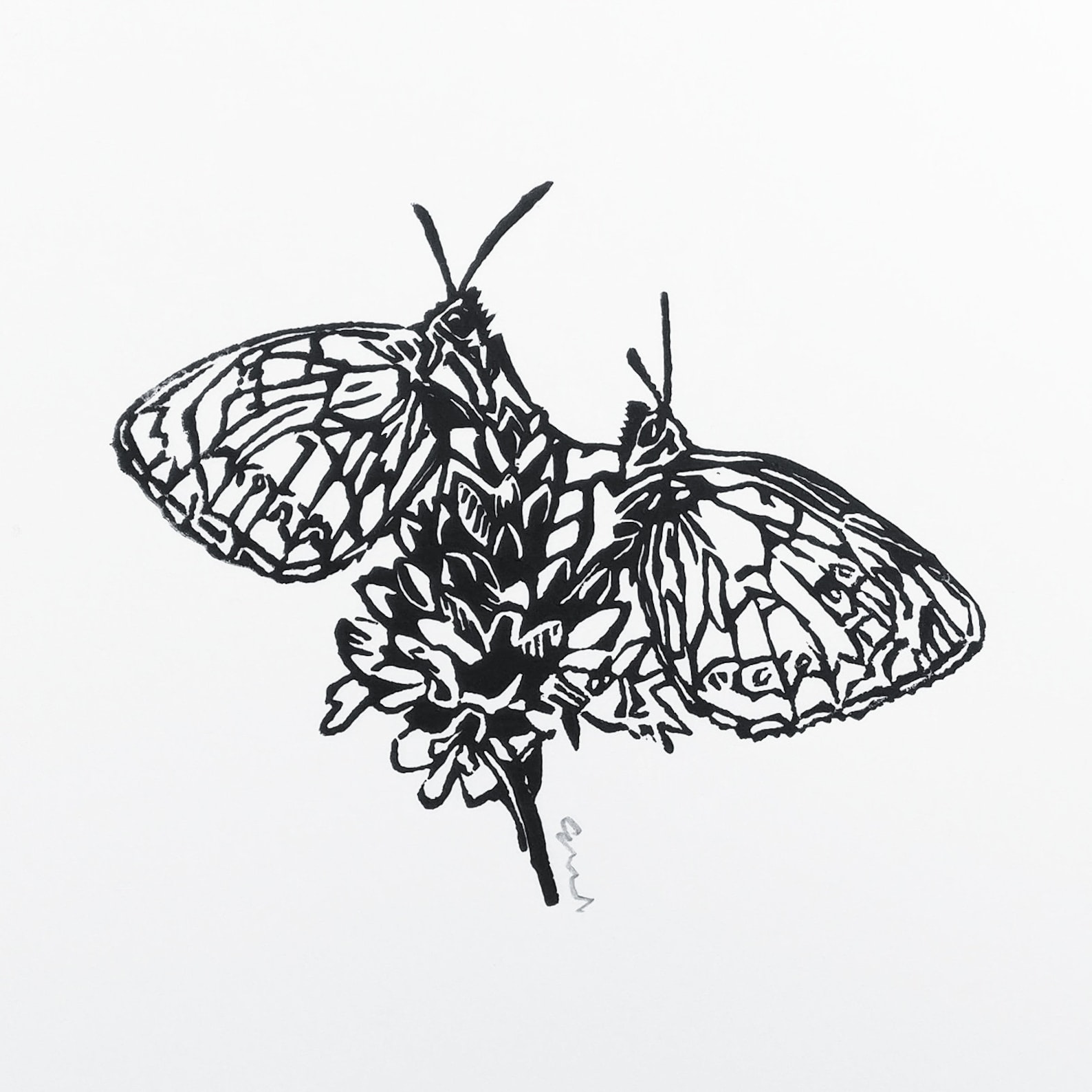 Linocut Print Two Butterflies on Flower Small Linoprint Etsy