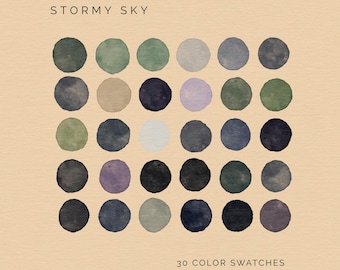 Stormy Sky Color Palette: 30 Moody Procreate & Adobe Swatches