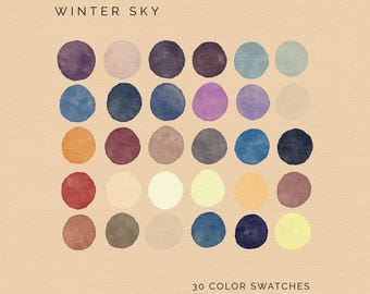 Winter Sky Procreate Color Palette: 30 Moody Digital Swatches