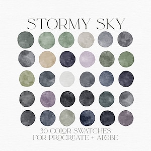 Stormy Sky Color Palette: Moody Procreate & Adobe Swatches