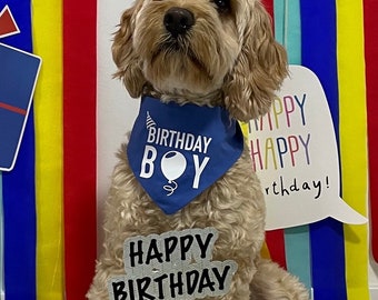 Birthday Boy Pet Bandana