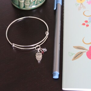 May include: A silver charm bracelet with an owl charm and a small red crystal. The bracelet is on a dark brown surface.