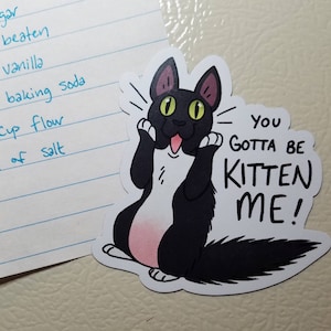 You Gotta be KITTEN ME! - MAGNET