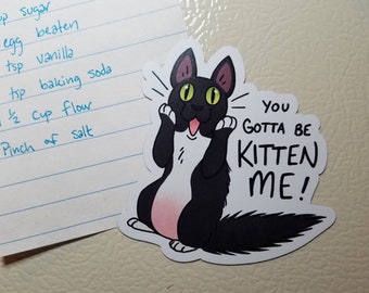 May include: A black and white cat with a pink belly is depicted in a cartoon style. The cat has a surprised expression with its mouth open and tongue sticking out. The cat is holding its paws up in the air. The text "You Gotta Be Kitten Me!" is written in black lettering below the cat.