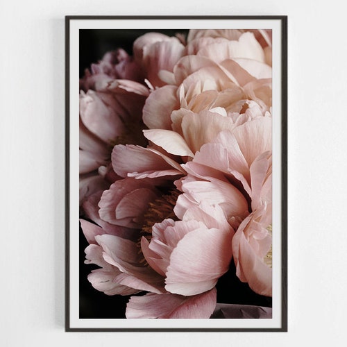 Peonies Poster Peonies Prints Flower Wall Art Flower Etsy