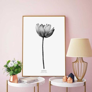 Lotus art print,Flower prints,Botanical print,Pink flower poster,Botanical print,Flower printable poster,Lotus print,Art prints,Minimalist