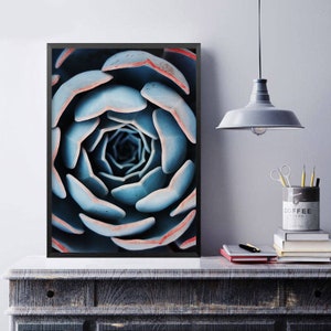 Kaktus Druck, saftig Druck, Kakteen Druck, Kaktus-Wand-Dekor, botanische Druck, Kaktus Kunst, Küste, Wandkunst, Poster, Agave Druck