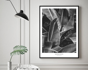 Banana Leaves Plant poster Leaves Photography Leaves prints Leaf, Black and white Printable wall art Wall prints Art prints Digital Poster