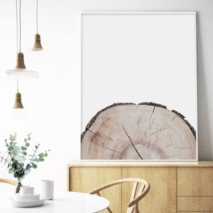 Tree Ring Poster, Minimal Print, Nature Wall Art, Tree Ring Photo, Living Room Decor, Scandinavian Print,Printable Wall Art, Large Print