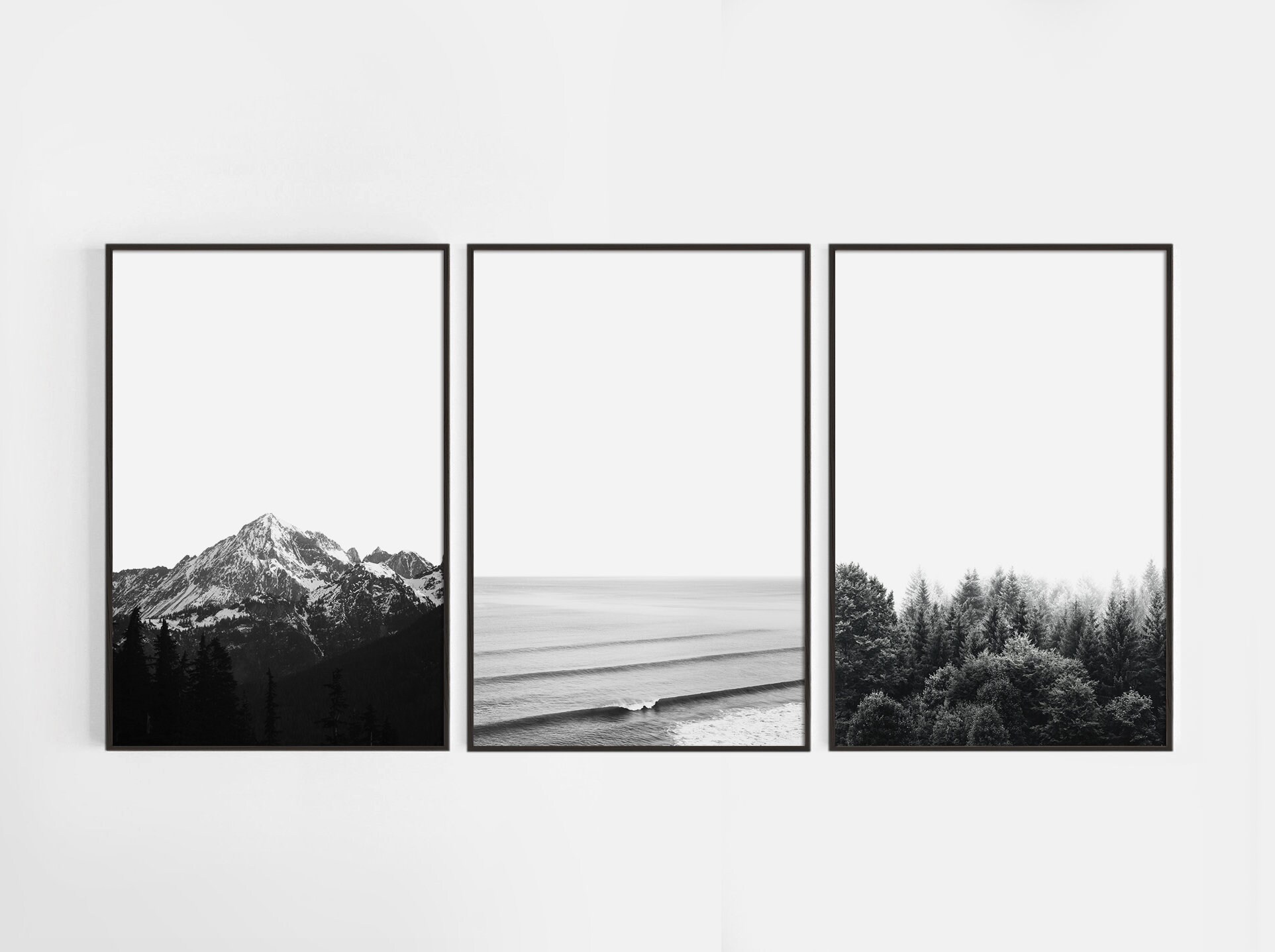 Set of 3 Nature Wall Art Black and White Nature Prints Etsy