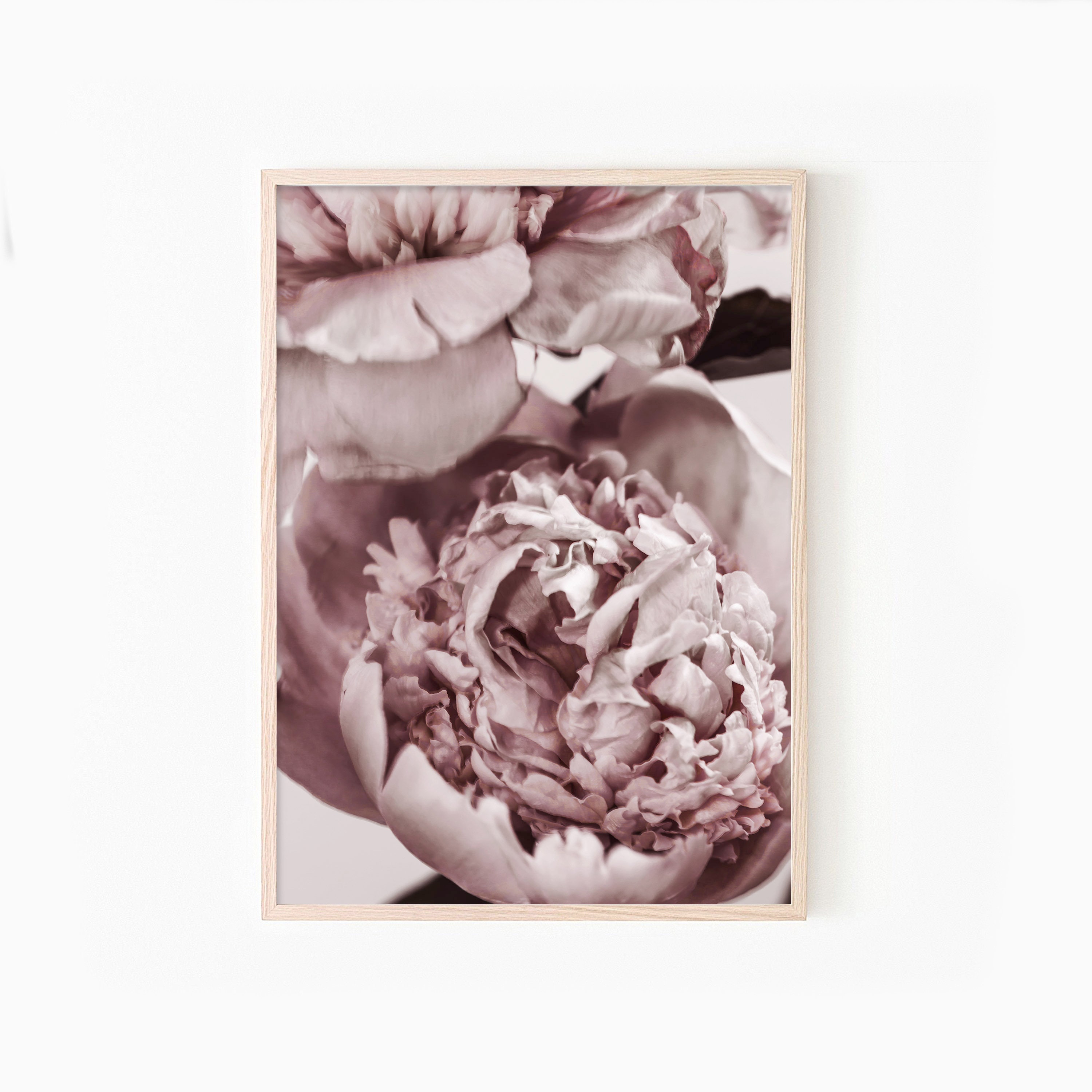 Pink peony Floral poster Peonies poster Printable wall art Etsy