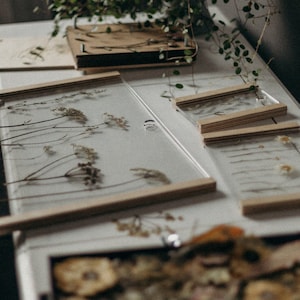 Pressed Flower Frame: Birch Wood Herbarium Press (XS-XL)
