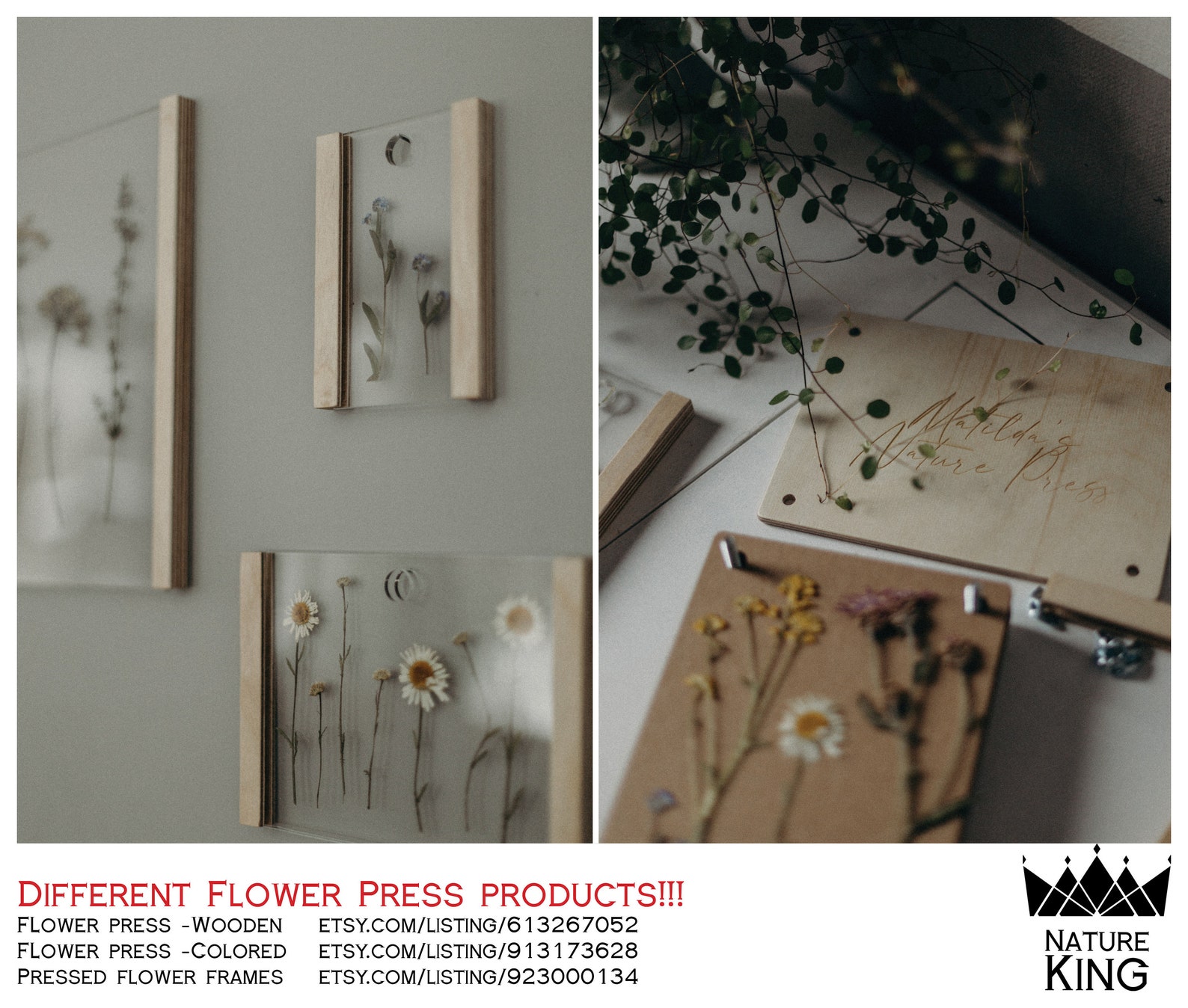 XSXL Pressed Flower Frame Flower Press Frame Herbarium Etsy