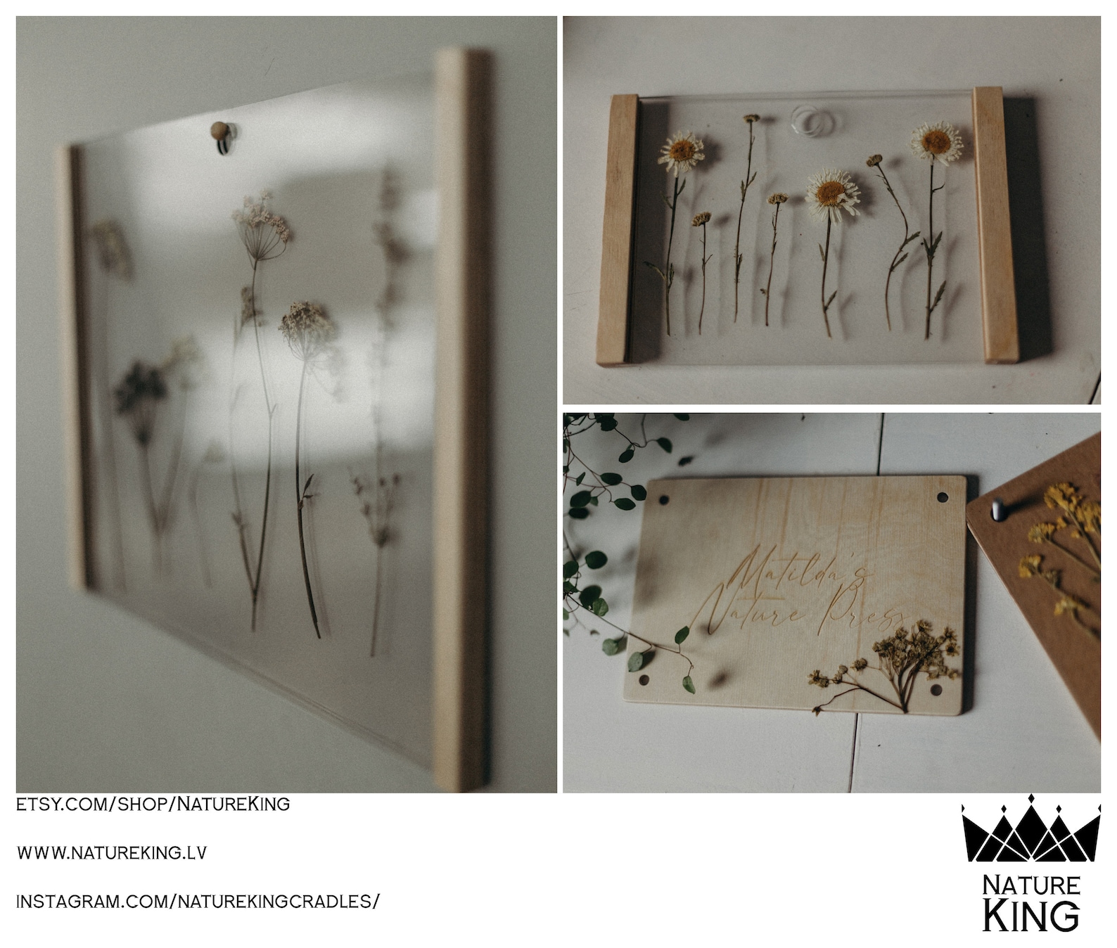 XSXL Pressed Flower Frame Flower Press Frame Herbarium Etsy