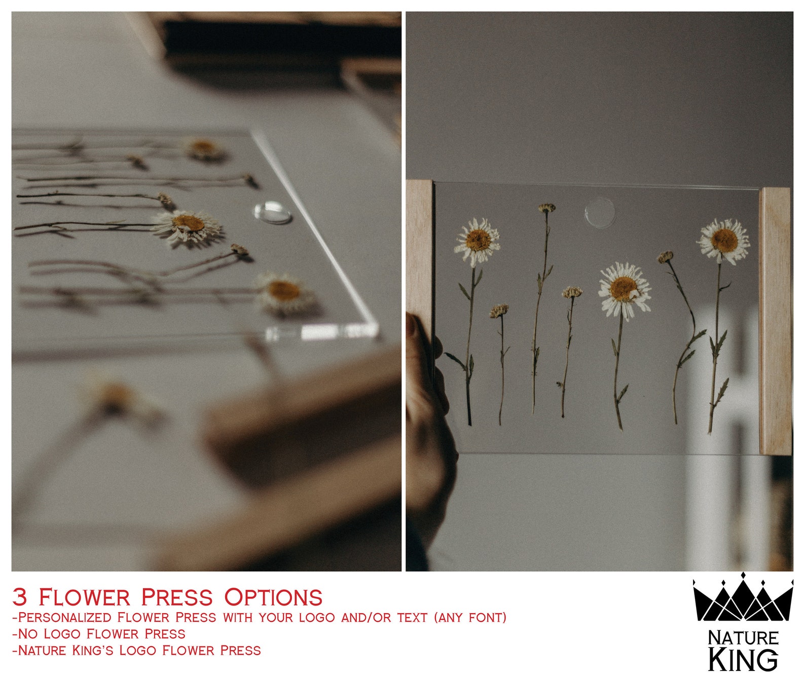 XSXL Pressed Flower Frame Flower Press Frame Herbarium Etsy