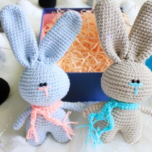 Bunny Set, crochet toys, amigurumi bunny, crochet bunny,  baby gift, bunny crochet toy