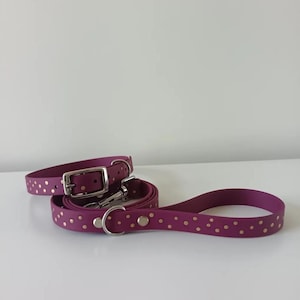 Puede incluir: Un conjunto de collar y correa para perro de color púrpura con lunares dorados. El collar tiene una hebilla plateada y una correa a juego con un asa. El conjunto está hecho de un material flexible.