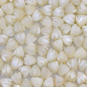 Small Pikake Mother of Pearl 8mm, Choose 5/10/25/50/100 pcs Mother of Pearl Pikake Beads - White Spot or No Spot Available