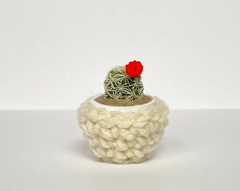 Cozy Cover - Crocheted Pot Cover - Mini Plant Accessory - Handmade - Ivory White