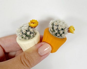 A Mini Cactus - Mammillaria Gracilis Fragilis Monstrose "Arizona Snowcap” - Hand Painted