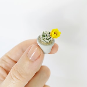 XS Mini Cactus Plant - Mammillaria Gracilis Fragilis "Thimble Cactus” - Extra Small - Hand Painted