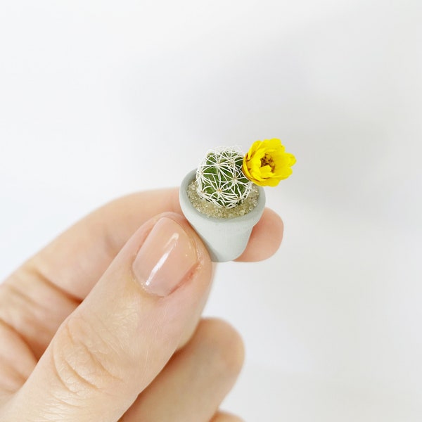 XS Mini Cactus Plant - Mammillaria Gracilis Fragilis "Thimble Cactus” - Extra Small - Hand Painted