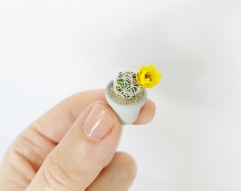 XS Mini Cactus Plant - Mammillaria Gracilis Fragilis "Thimble Cactus” - Extra Small - Hand Painted