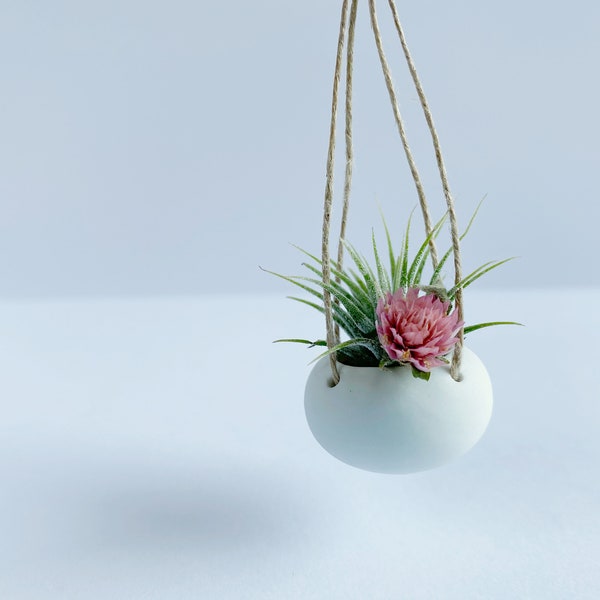 Mini Air Plant Tillandsia - Hanging Clay Planter