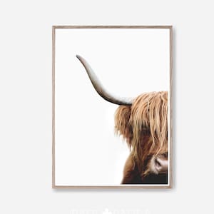 Highland Cow Print, Farm Animal Prints, Digital Download, Cow Poster, Cattle Wall Art, Animal Portrait, Farm Nursery Prints