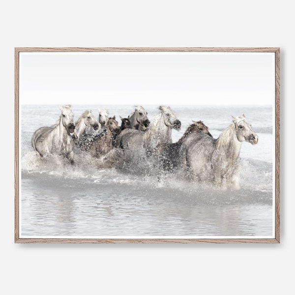 Impression de cheval de Camargue, art de mur de chevaux, impression de chevaux de withe, impressions animales, cadeau d'amoureux de la nature, art imprimable, téléchargement numérique