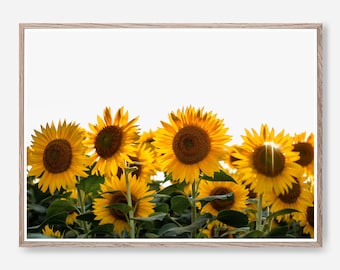 Sunflowers Art Print, Printable Wall Art, Boho Wall Art, Modern Wall Art, Kitchen Decor, Yellow Wall Art, Instant Download Print