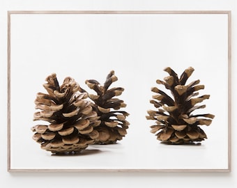 Pinecone Print, Pine Cone Wall Art, Large Printable Poster, Nordic Print, Scandinavian Decor, Christmas Decor, Modern Home Decor