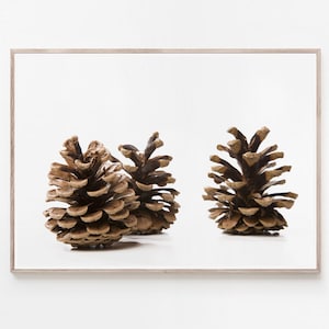 Pinecone Print, Pine Cone Wall Art, Large Printable Poster, Nordic Print, Scandinavian Decor, Christmas Decor, Modern Home Decor