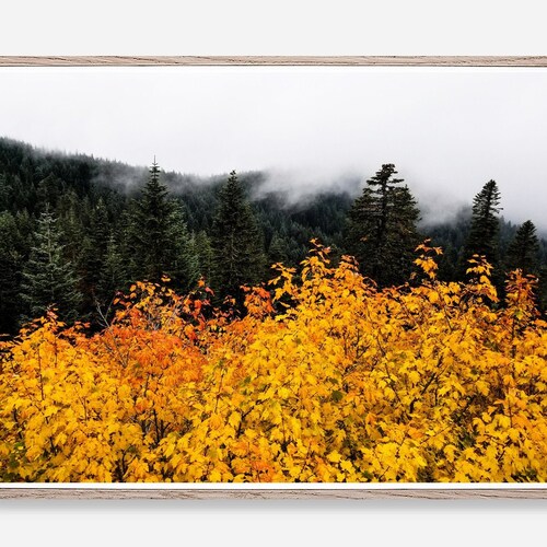 Tree Landscape Print Instant Download Fall Autumn Forest Wood Etsy