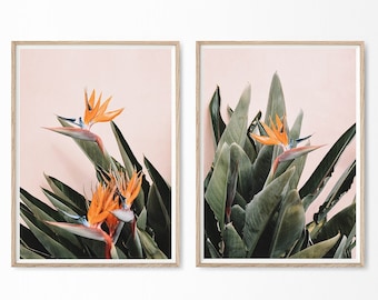 Puede incluir: Dos impresiones artísticas enmarcadas con vibrantes flores de ave del paraíso naranja y exuberantes hojas verdes sobre un fondo rosa pálido. La obra de arte botánica se muestra en marcos de madera clara, añadiendo un toque de decoración inspirada en la naturaleza.