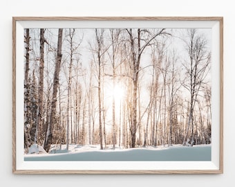 Winter Sun Forest Print, Snow Covered Trees, Landscape Print, Christmas Decor, White Forest Printable, Nature Print, Modern Home Decor