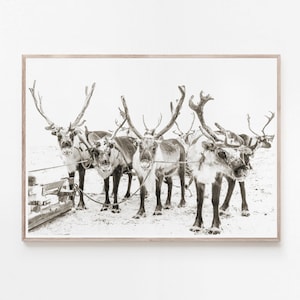 Reindeer Print, Holiday Decor, Christmas Decor, Winter Landscape, Chrismas Printable, Snow Print, Modern Wall Decor, Rudolf Wall Art