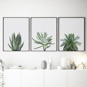 Set von 3 Prints, Sukkulenten Drucke, Pflanzen Wandkunst, Minimalistisch Drucke, Grün und Grau Druck, Botanischer Druck, druckbare Kunst