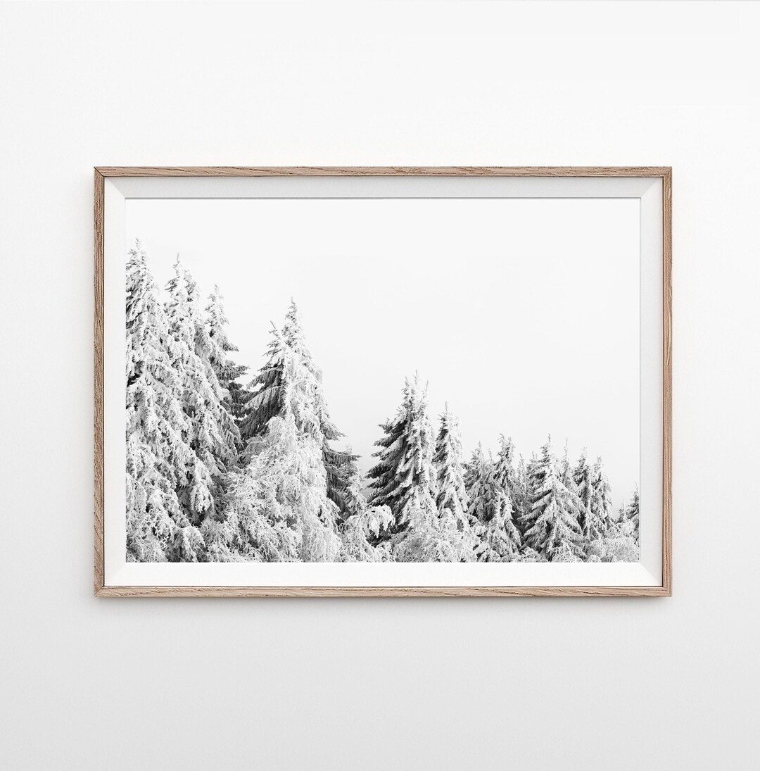 Winter Forest Wall Art, Snow Forest Photography, Forest Printable