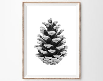 Pinecone Print, Pinecone Photography, Printable Download Art