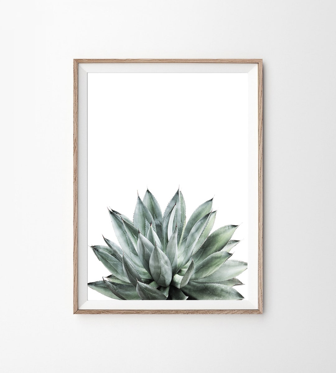 Aloe Plant Prints, Aloe Print, Succulent Print, Aloe Vera Poster ...