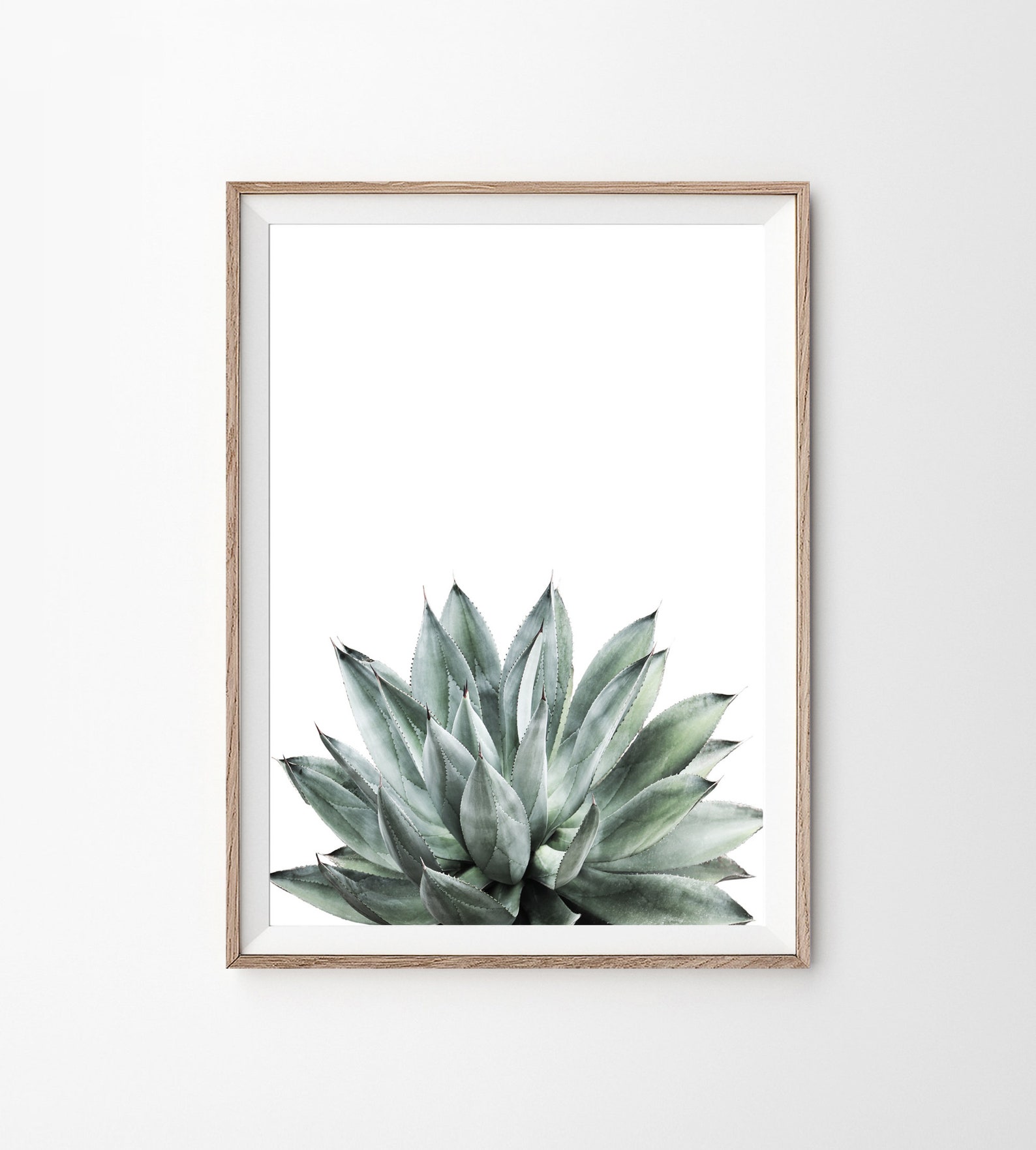 Aloe Plant Prints Aloe Print Succulent Print Aloe Vera - Etsy