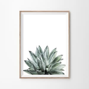 Aloe Plant Prints, Aloe Print, Succulent Print, Aloe Vera Poster, Desert Decor, Tropical Print, Desert Wall Art, Botanical Print