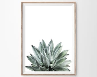 Impresiones de plantas de aloe, impresión de aloe, impresión suculenta, póster de aloe vera, decoración del desierto, impresión tropical, arte de pared del desierto, impresión botánica