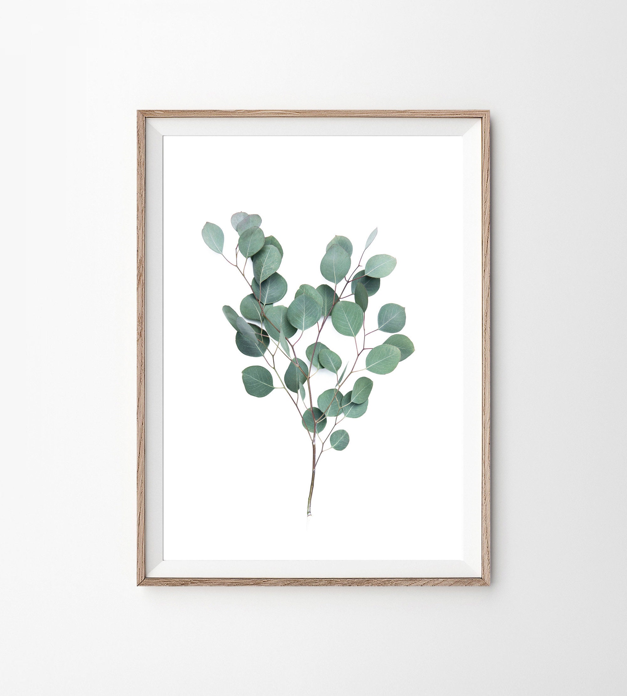 Eucalyptus Print Printable Art Art Print Eucalyptus Leaves | Etsy