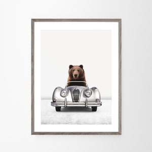 May include: A brown bear driving a silver vintage car. The car is facing the camera and the bear is sitting in the driver's seat.