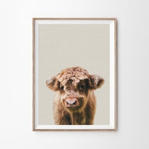 Highland Cow Print, Farm Baby Animal, Calf, Farmhouse Nursery Wall Art, Baby Bedroom, Kids Bedroom Decor, Photography Prints, Printable Art